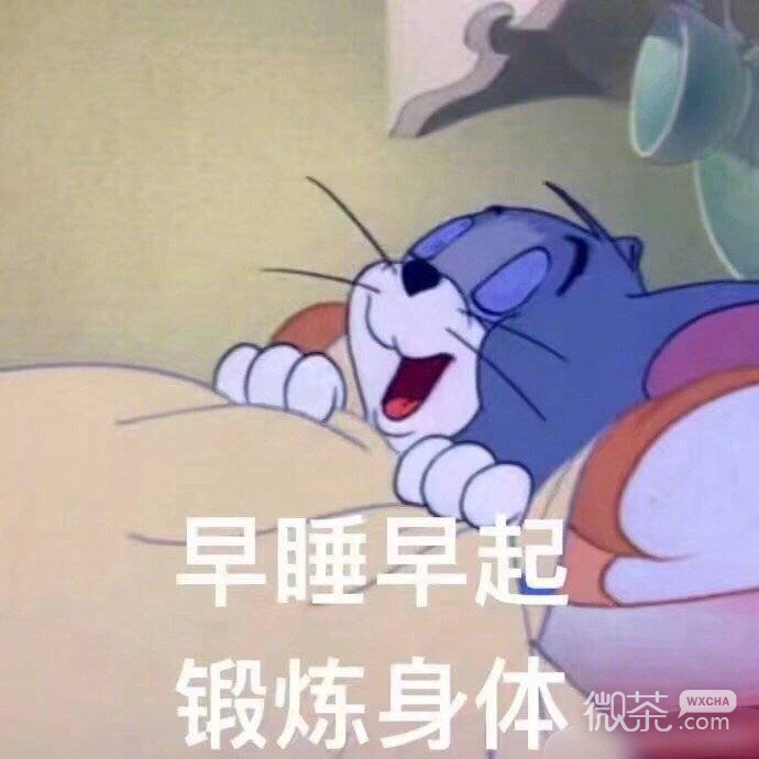 可爱沙雕的微信猫和老鼠带字表情包