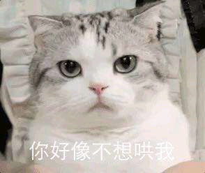 委屈斗图表情包