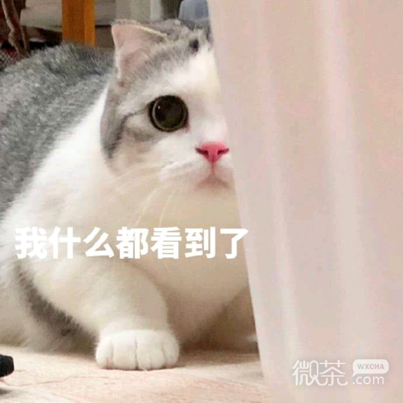委屈斗图表情包
