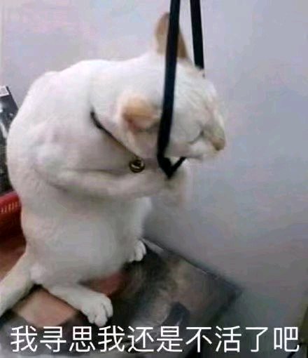 委屈斗图表情包
