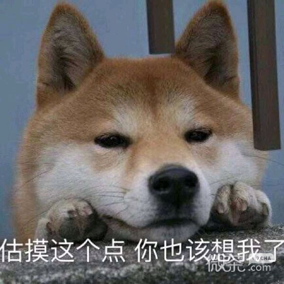 委屈斗图表情包