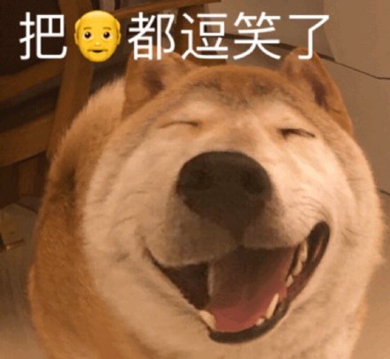 憨厚大嘴狗表情包