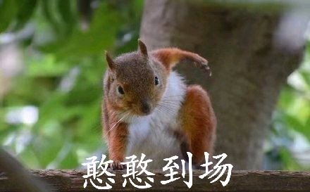 胖胖瘫微信恶搞斗图表情包
