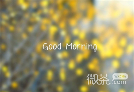 唯美好看的微信早安带字图片