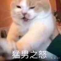 胖胖瘫微信恶搞斗图表情包