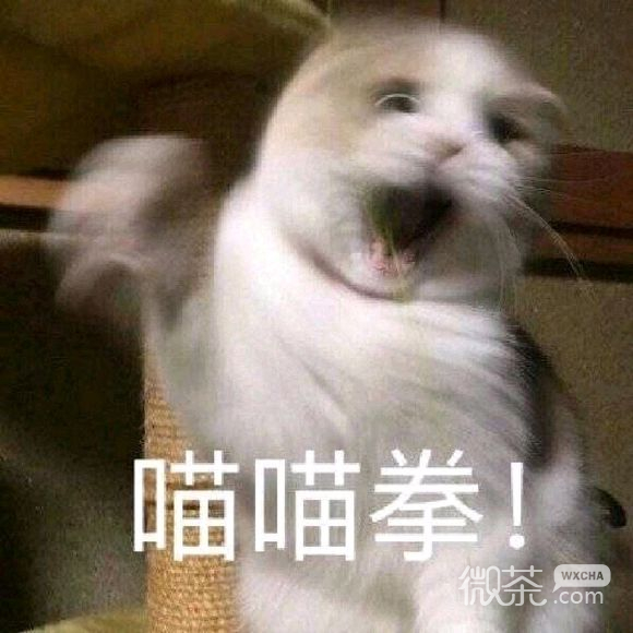 胖胖瘫微信恶搞斗图表情包