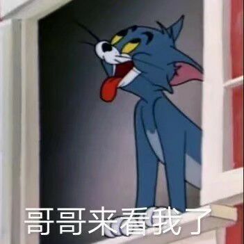 暴躁伞恶搞斗图表情包