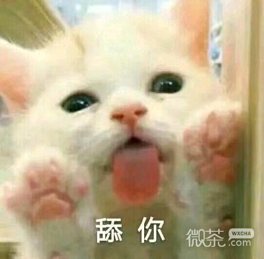 胖胖瘫微信恶搞斗图表情包