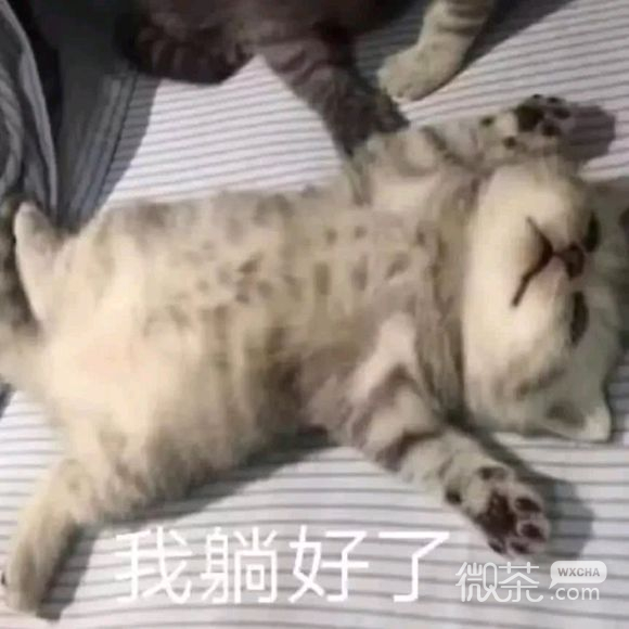 胖胖瘫微信恶搞斗图表情包
