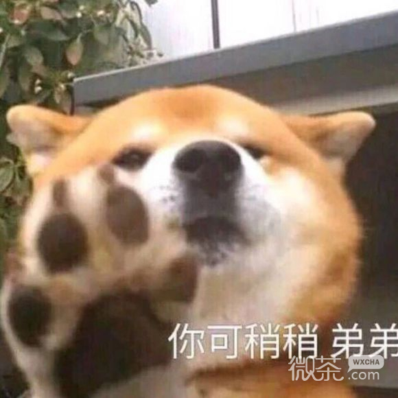 对对对微信恶搞斗图表情包