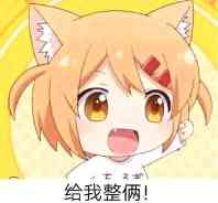 微信近期斗图恶搞表情包2019/12/6