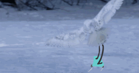 微信近期斗图恶搞表情包2019/12/6