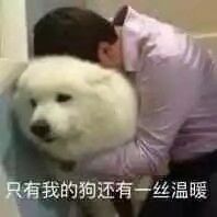 微信近期斗图恶搞表情包2019/12/6