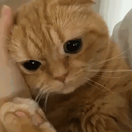 我可以的微信恶搞斗图表情包