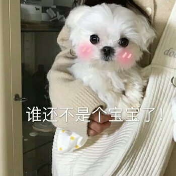 不屑恶搞斗图表情包