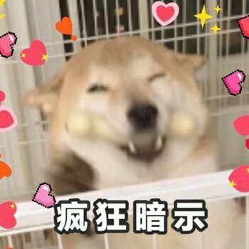 不屑恶搞斗图表情包