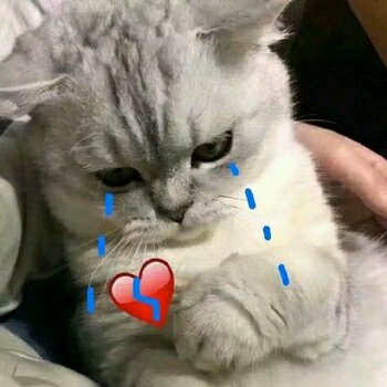 不屑恶搞斗图表情包