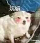 我可以的微信恶搞斗图表情包