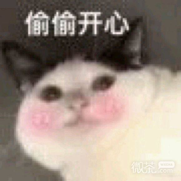 晚安微信恶搞斗图表情包