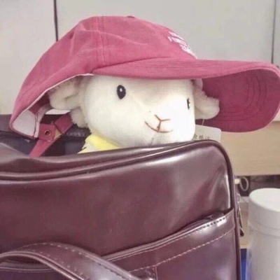 逗比专用的微信沙雕头像