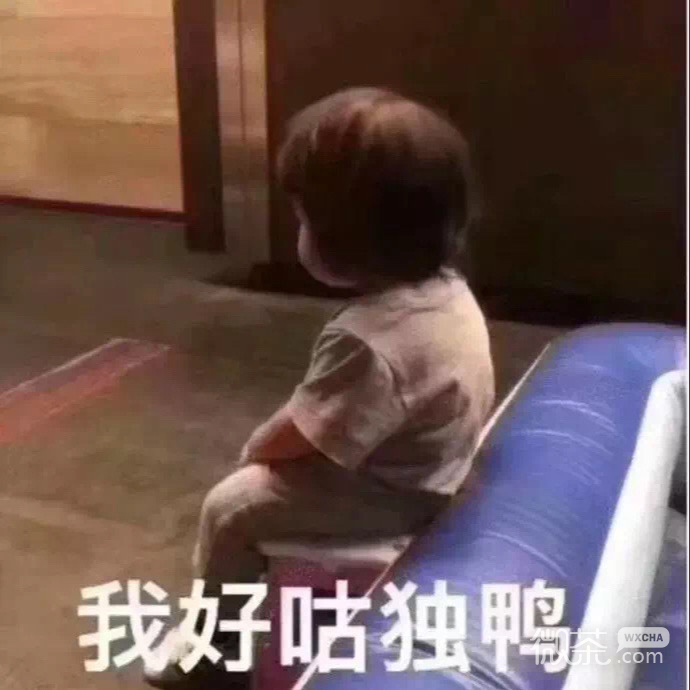 微信每日沙雕斗图表情包第一弹