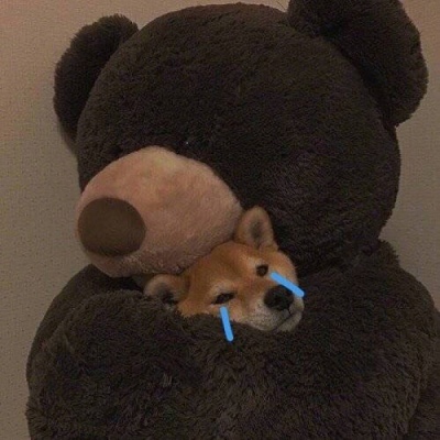 逗比专用的微信沙雕头像