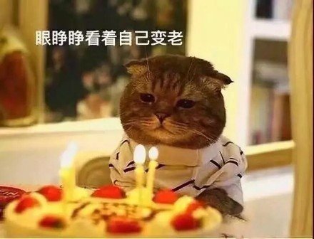 生日专用的微信生日快乐表情包