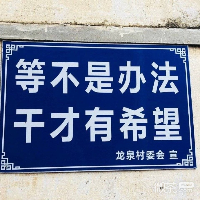 微信每日沙雕斗图表情包第一弹