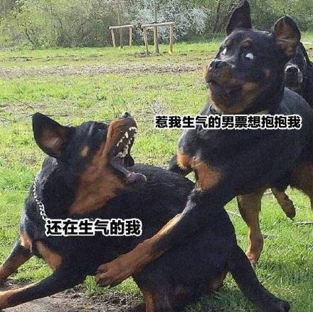 讨厌恶搞斗图表情包