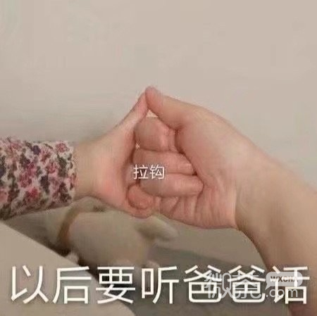微信每日沙雕斗图表情包第一弹