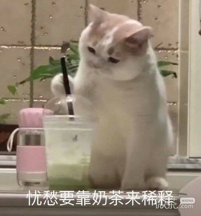 清醒一点微信恶搞斗图表情包
