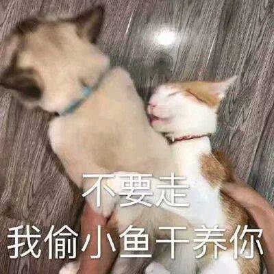 清醒一点微信恶搞斗图表情包