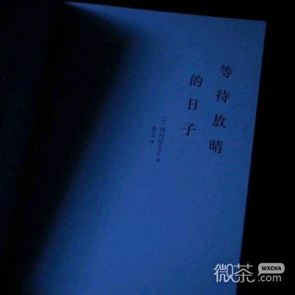 温馨宠物朋友圈配图