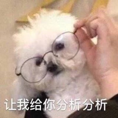 搞笑又沙雕的微信带字头像