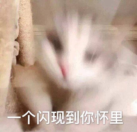 沉默微信恶搞斗图表情包