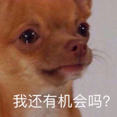 搞笑又沙雕的微信带字头像