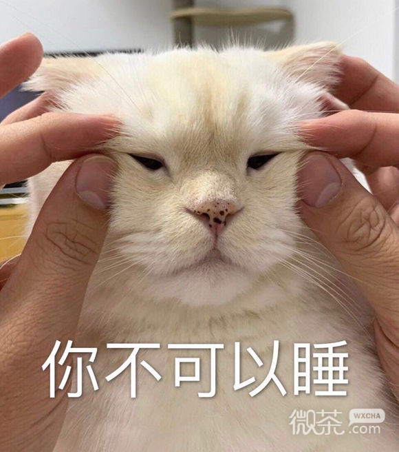 微信近期斗图恶搞表情包2019/12/13