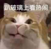 微信近期斗图恶搞表情包2019/12/13