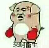微信近期斗图恶搞表情包2019/12/13（二）