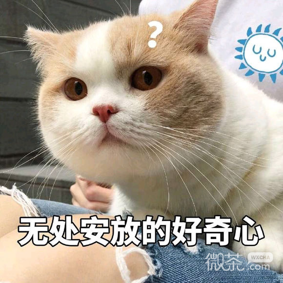 微信近期斗图恶搞表情包2019/12/13