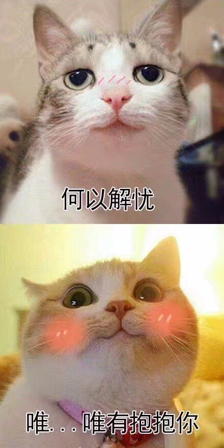 撩妹撩汉专用的微信喵星人带字表情包