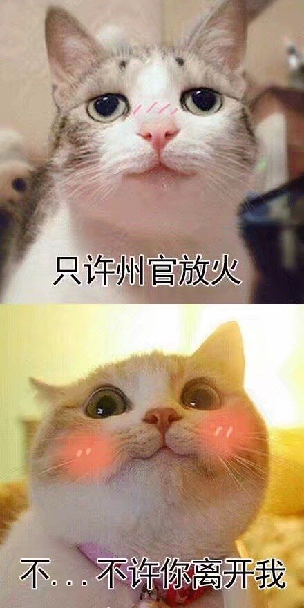 撩妹撩汉专用的微信喵星人带字表情包