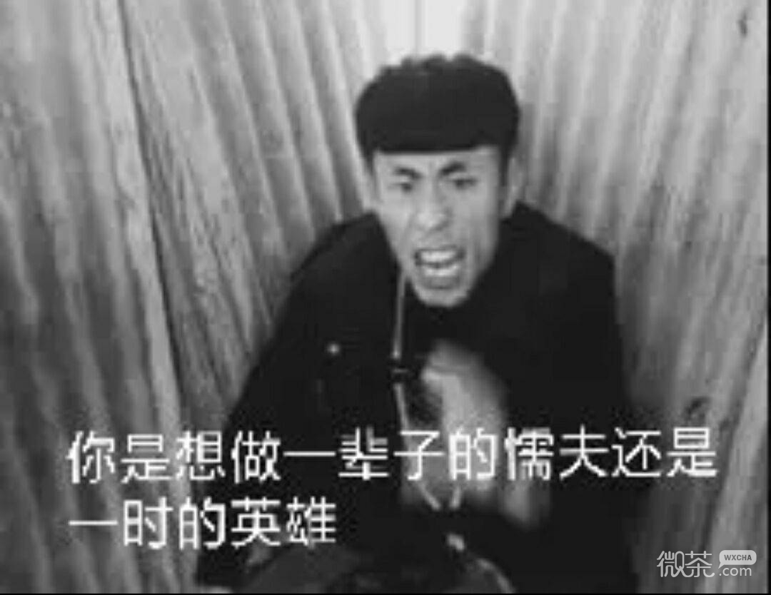 跪下微信恶搞斗图表情包