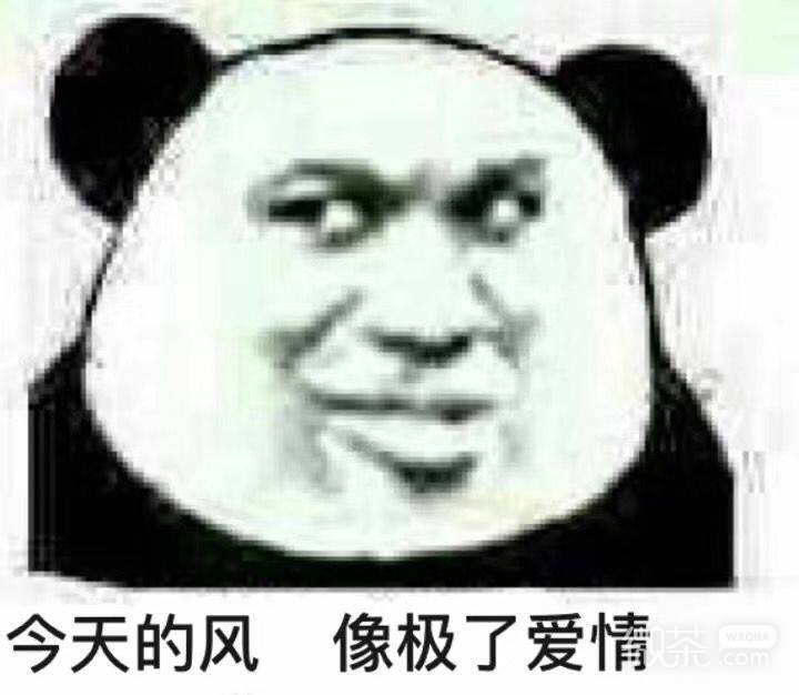 快跑微信疙瘩汤表情包