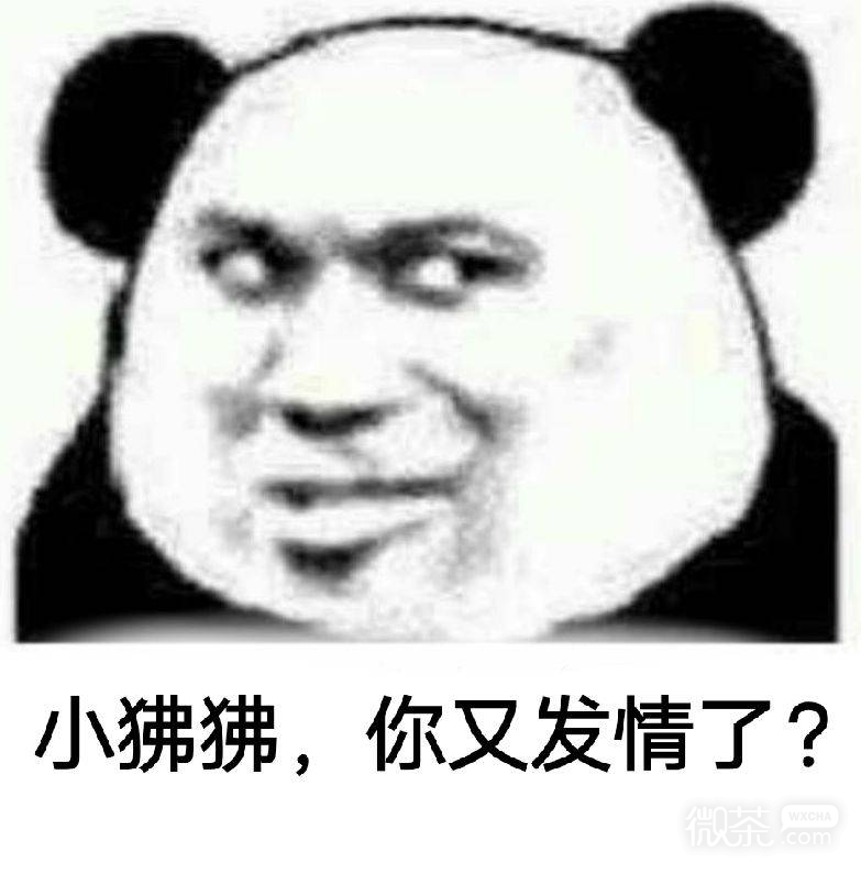 已撸微信恶搞斗图表情包