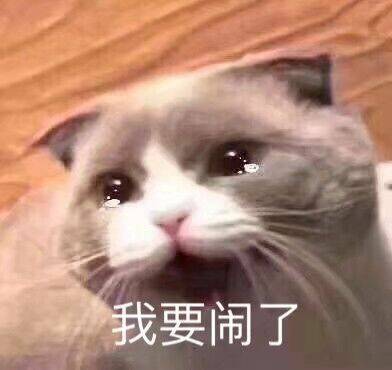 已撸微信恶搞斗图表情包