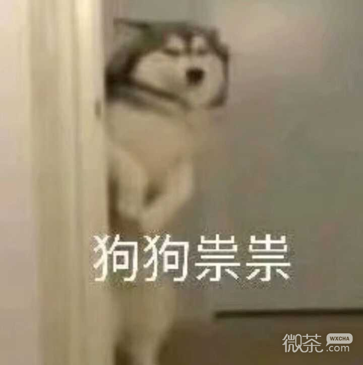 已撸微信恶搞斗图表情包