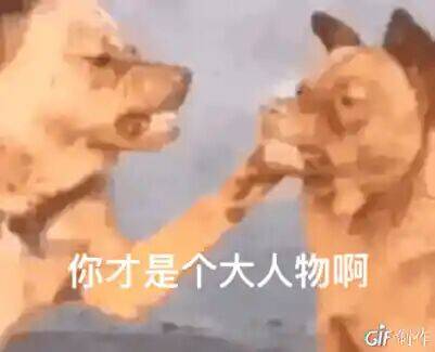 忘了爱微信恶搞斗图表情包