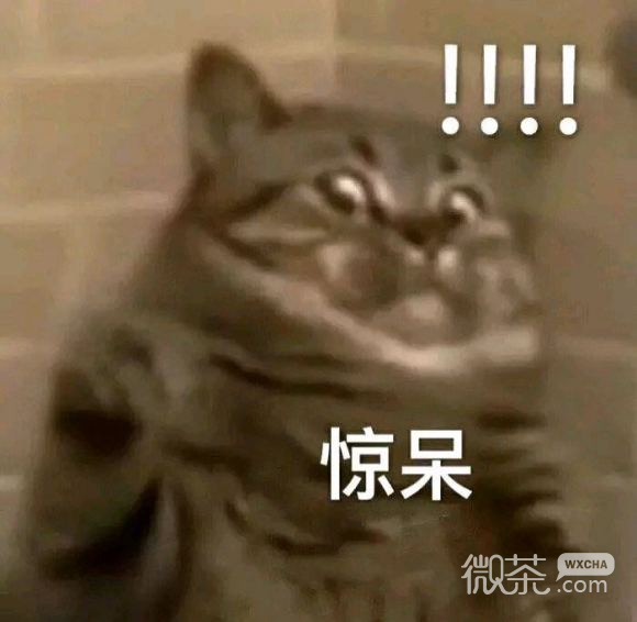 微信近期斗图恶搞表情包2019/12/18
