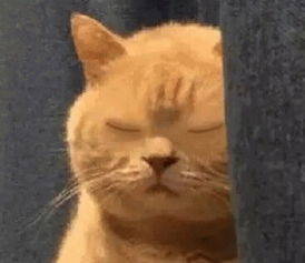 我饿了微信恶搞斗图表情包